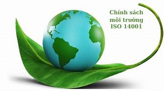 Chính Sách Môi Trường Là Gì